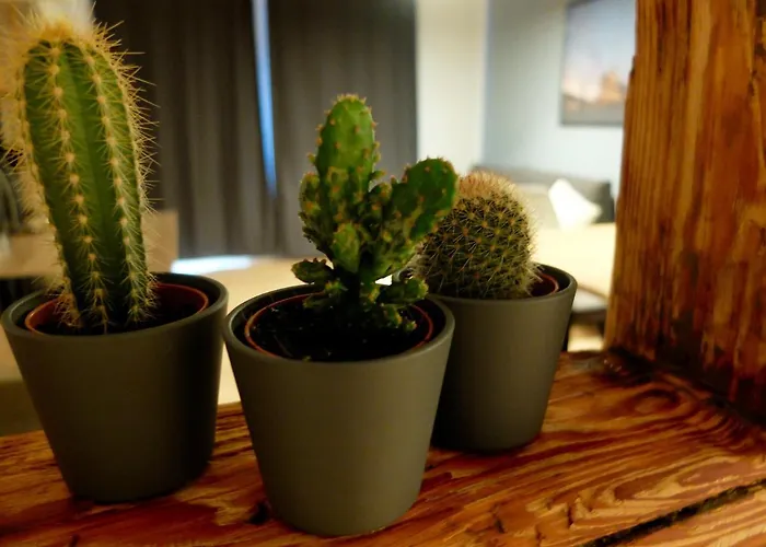 Appartement Altstadt